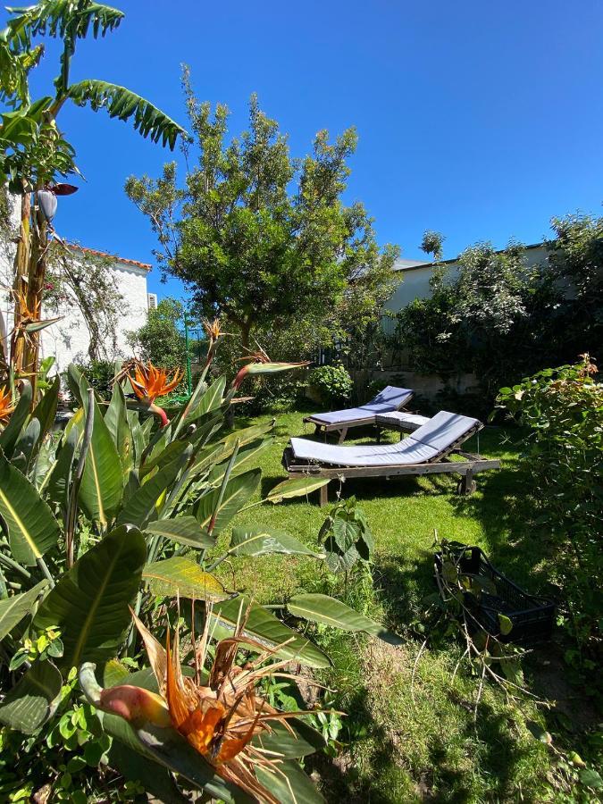 B&B Villa Piera Montecucco Стинтино Экстерьер фото